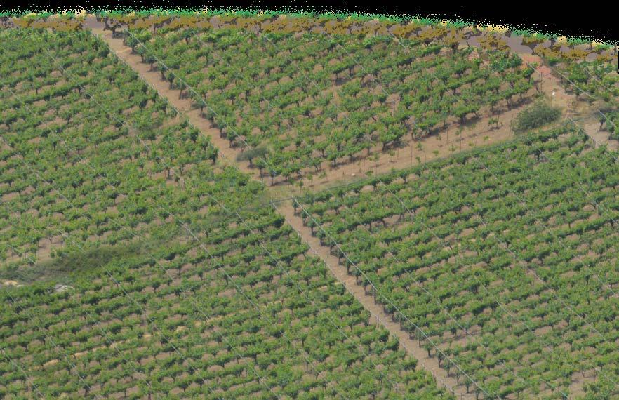 Δίκτυο NATURA 2000, Υπηρεσίες Οικοσυστημάτων Αγροτικών Περιοχών της Κρήτης ΧΑΡΤΗΣ 6.