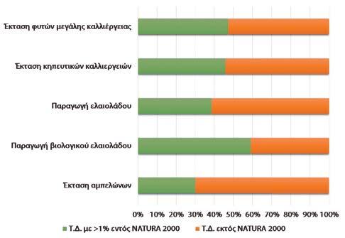 Τ.Κ. Καλοκαιρινά λαχανικά.