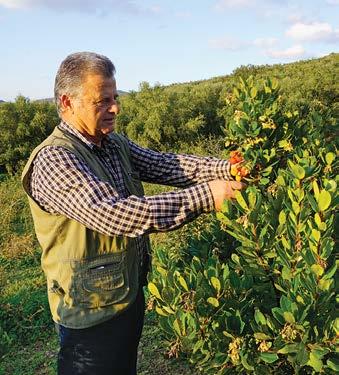 Μέσα από αυτές, στόχος είναι πάντα η βελτίωση της ποιότητας ζωής της τοπικής κοινωνίας, ο πολιτιστικός και κοινωνικός εμπλουτισμός (π.χ. τοπικές πολιτιστικές εκδηλώσεις), η οικονομική αυτάρκεια και η προστασία και διαφύλαξη του περιβάλλοντος και της πολιτιστικής κληρονομιάς.