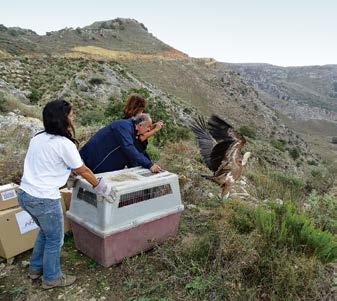 4 Θέσεις εργασίας και ευκαιρίες απασχόλησης μέσα από καλλιεργούμενες εκτάσεις, μικρά έργα για την προστασία και διατήρηση του εδάφους, διαμόρφωση θέσεων θέας, δενδροφυτεύσεις τοπικών ειδών).