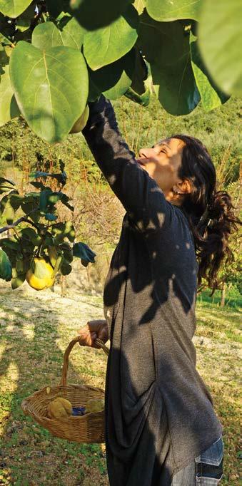 Η δημιουργία Γυναικείων Αγροτουριστικών Συνεταιρισμών μέσα σε περιοχές του Δικτύου NATURA 2000 είναι ίσως μία καλή
