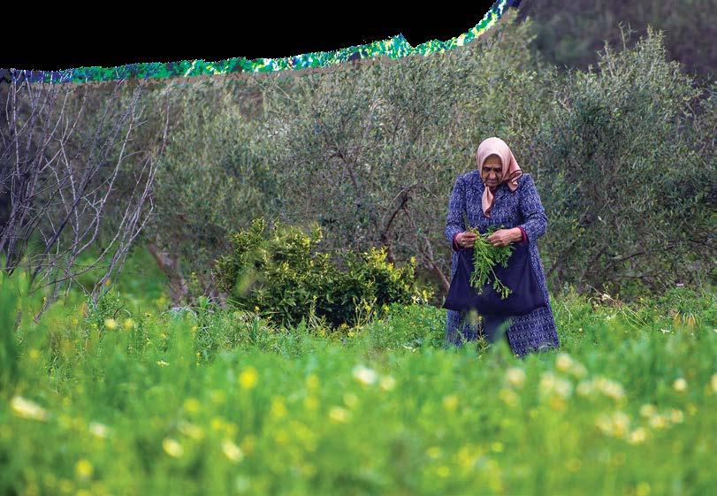 1ΕΙΣΑΓΩΓΗ 1.1 Υπηρεσίες οικοσυστημάτων Τα φυσικά οικοσυστήματα της Κρήτης παρέχουν πλήθος ωφελειών για την υγεία και την ευημερία των κατοίκων του νησιού.