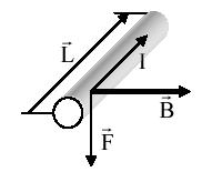 Fig.9.5 Conductor parcurs de curent electric introdus în câmp magnetic. Forţa exercitată asupra conductorului parcurs de curent situat în câmpul magnetic F I l B (9.