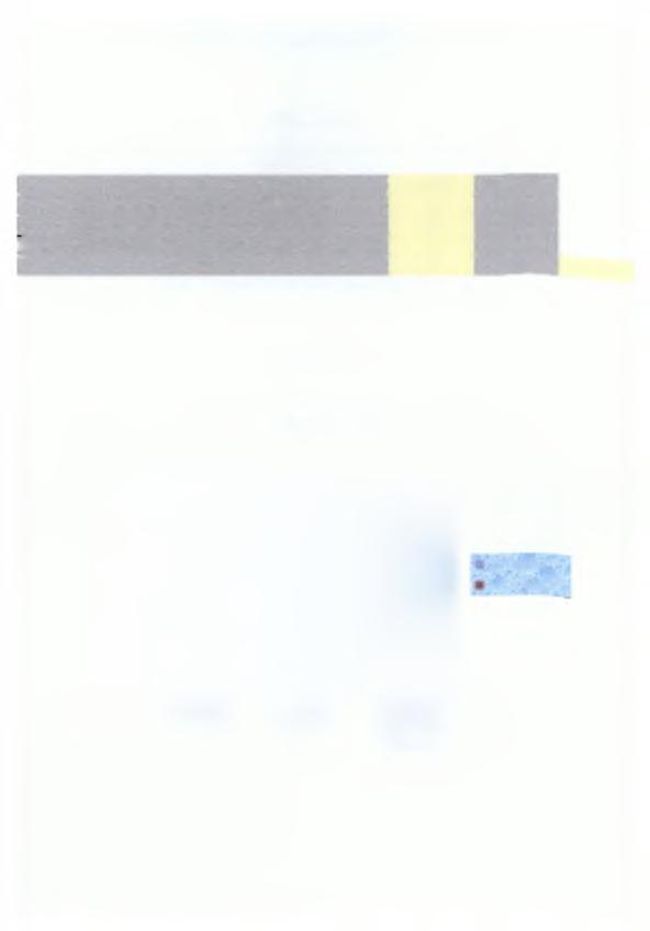 32 Πίνακας 3.4.1.