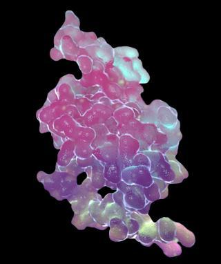 Τη είλαη ε PCSK9?