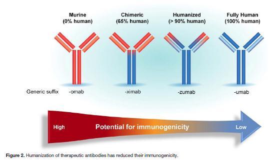 Evolocumab Alirocumab Πιήξσο αλζξώπηλν κνλνθισληθό αληίζσκα ηεο PCSK9 Ληγόηεξν πηζαλό λα εκθαλίζεη