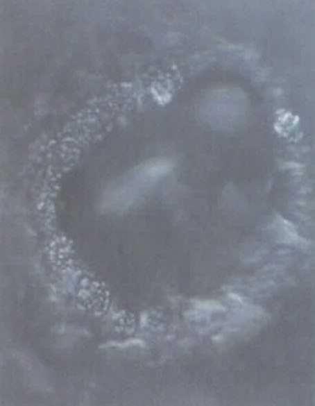 Masaru Emoto (Поруке из воде) који воду иначе излаже разним утицајима као нпр.