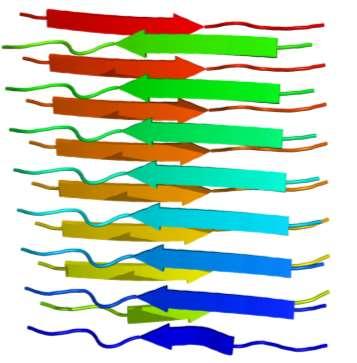 Klasične amiloidoze Zunajcelična akumulacija netopnih fibril premera 80-100 Å. Izraz amiloid izvira iz dejstva, da se fibrile barvajo z jodom (kot škrob).