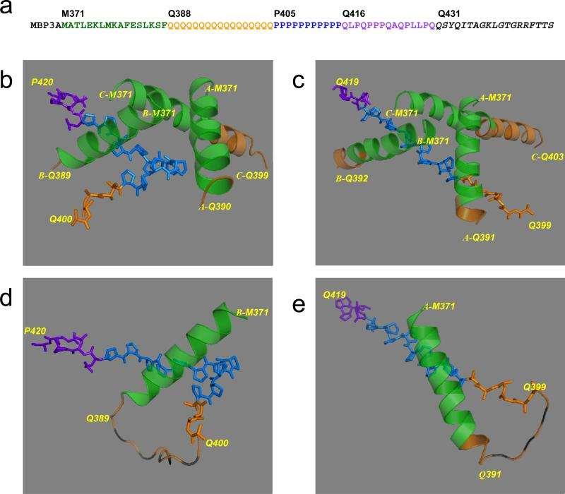 Huntingtonova bolezen Huntingtonova bolezen je nevrodegenerativna bolezen, ki je posledica mutacij v proteinu huntingtin 350 kda citoplazemski protein.