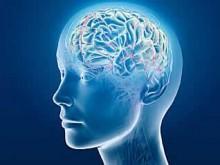BIOHEMIJSKA OSNOVA NEURODEGENERATIVNIH BOLESTI Neurodegenerativne bolesti su stanja gubitka nervnih ćelija u mozgu i kičmenoj moždini što je praćeno funkcionalnim padom (ataksija) ili senzornom