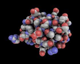 α-sinuklein se metabolizira, ubikvitiskim proteasomskim putem, a mutacije na α-sinukleinu dovode do