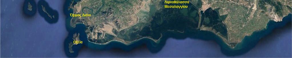 τη λίμνη Τριχωνίδα και το Αγρίνιο στα ανατολικά Τη λιμνοθάλασσα του Αιτωλικού και του Μεσολογγίου στα