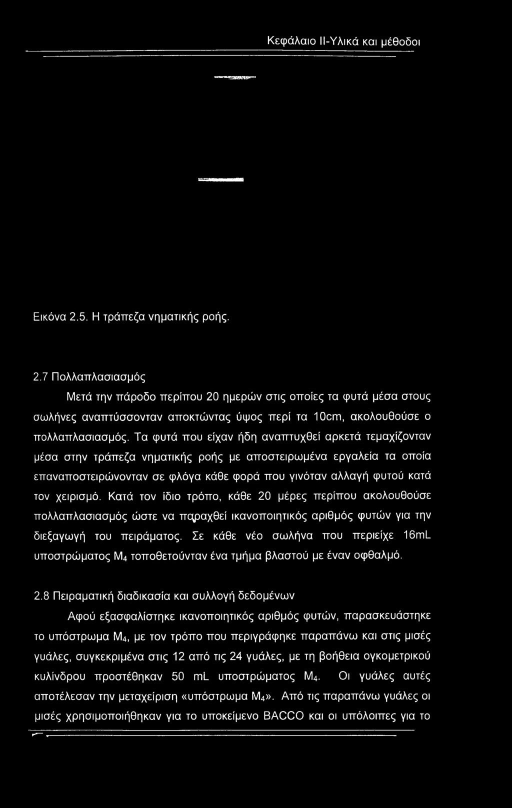 Τα φυτά που είχαν ήδη αναπτυχθεί αρκετά τεμαχίζονταν μέσα στην τράπεζα νηματικής ροής με αποστειρωμένα εργαλεία τα οποία επαναποστειρώνονταν σε φλόγα κάθε φορά που γινόταν αλλαγή φυτού κατά τον