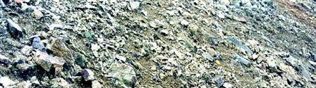 Φωτ.2.20. Φυλλίτης Γνεύσιοι (gneiss) Οι γνεύσιοι είναι μεταμορφωμένα πετρώματα με ατελή σχιστότητα, πλούσια σε αστρίους, χαλαζία και μαρμαρυγίες.