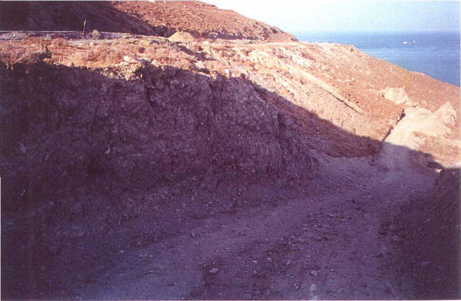Φωτ. 4.10 β Εµφάνιση εξαλλ.
