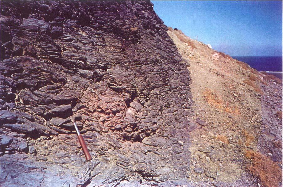 Φωτ. 4.12 Επιφανειακή εµφάνιση µελανότεφρου φυλλίτη. 4.4 ΓΕΩΤΕΚΤΟΝΙΚΗ ΕΞΕΛΙΞΗ 4.4.1 ΓΕΩΤΕΚΤΟΝΙΚΕΣ ΕΝΟΤΗΤΕΣ Αντιπαραβάλλοντας τον γεωλογικό χάρτη της περιοχής (Σχήµα 4.