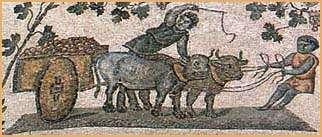 Αγροτική Οικονομία Οι ελεύθεροι γεωργοί την Πρώιμη Βυζαντινή περίοδο διακρίνονταν στους μικροϊδιοκτήτες και σε αυτούς που δούλευαν σε αγρούς με