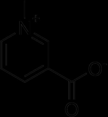 B 3 (νιασίνη ή νιασιναμίδιο, επίσης ΡΡ) Απαντά στους οργανισμούς ως ελεύθερο οξύ (νικοτινικό), είτε ως τμήμα των συνενζύμων NADP + και NAD + Πηγές: κυρίως ζωική προέλευση, επίσης στο σιτάρι (πίτυρα)