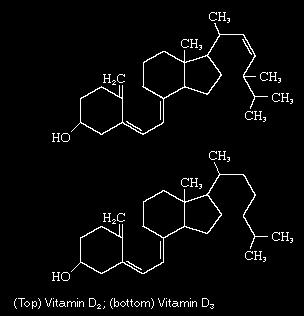Οι βιταμίνες στα τρόφιμα Λιποδιαλυτές βιταμίνες Βιταμίνη D (D 1 - D 5 ) Ομάδα σεκοστεροειδών περιλαμβάνει τη χοληκαλσιφερόλη (D 3 ) και εργοκαλσιφερόλη (D 2 ) D