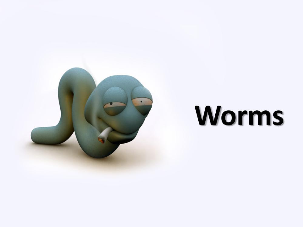 Worm Ζνα πρόγραμμα που μεταδίδεται (ςυνικωσ) μζςα από δίκτυα.
