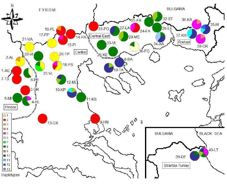 παγετώνα 4 μεταπαγετώδεις γραμμές καταγωγής και τουλάχιστον 2 σημαντικά καταφύγια στον ελληνικό χώρο