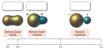 اگر مبنا تفاوت الکترونگاتیوی میان اتم های سازندۀ پیوند باشد نمودار زیر الگوی مناسبی برای پیوندهای یونی کوواالنسی قطبی و کوواالنسی ناقطبی است.