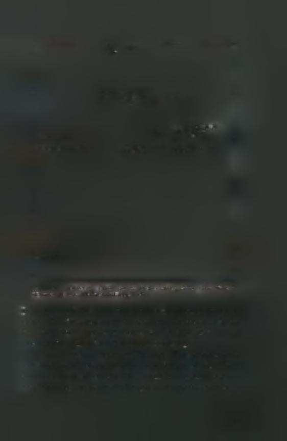 V/- Μεταναστευττκά τκά \ (alate fuiulairigi igcuuc) Y --.. S / V f -Ψ' \ Θεμελιθ)ηκά άτομα (fundatrix) Vj /* I _.1 V.