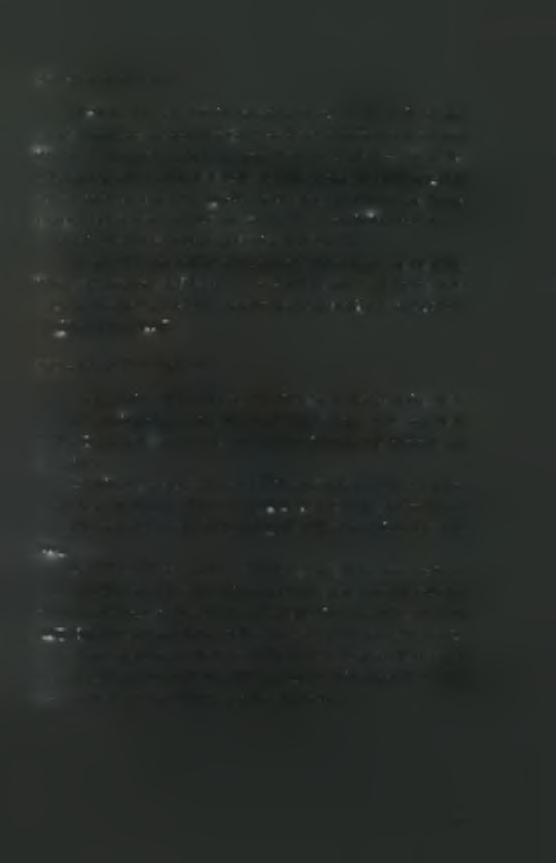 2.7.1. Myzus persicae s.str Η M. persicae στην Ελλάδα αποτελεί πολύ σοβαρό εχθρό. Προσβάλλει αρκετές καλλιέργειες και έχει αναπτύξει ανθεκτικότητα σε πολλά εντομοκτόνα.