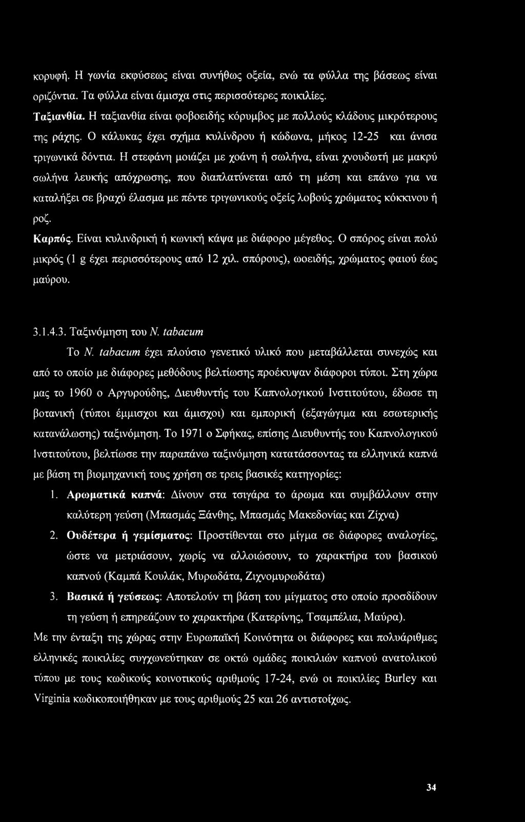 Η στεφάνη μοιάζει με χοάνη ή σωλήνα, είναι χνουδωτή με μακρύ σωλήνα λευκής απόχρωσης, που διαπλατύνεται από τη μέση και επάνω για να καταλήξει σε βραχύ έλασμα με πέντε τριγωνικούς οξείς λοβούς