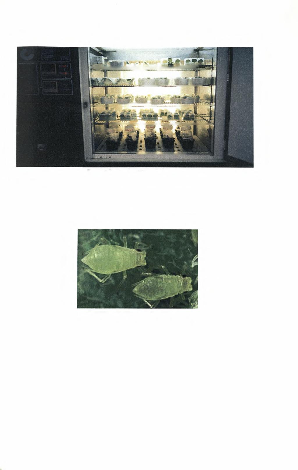 Εικόνα 3. Βιοκλιματικός θάλαμος. 4.