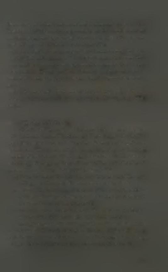 Τα φύλλα είναι απλά αλλά το σχήμα τους διαφέρει αναλόγως της ποικιλίας και είναι λογχοειδές, ωοειδές, ελλειπτικό ή ενδιάμεσο. Συνήθως τα φύλλα μικραίνουν προς την κορυφή.