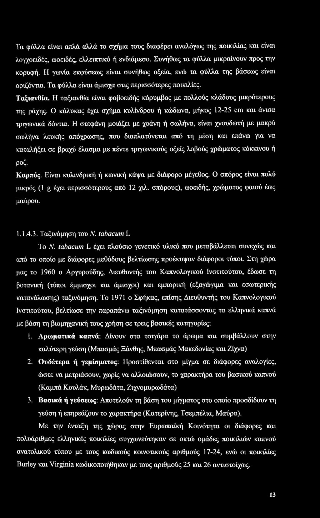 Η ταξιανθία είναι φοβοειδής κόρυμβος με πολλούς κλάδους μικρότερους της ράχης. Ο κάλυκας έχει σχήμα κυλίνδρου ή κώδωνα, μήκος 12-25 cm και άνισα τριγωνικά δόντια.