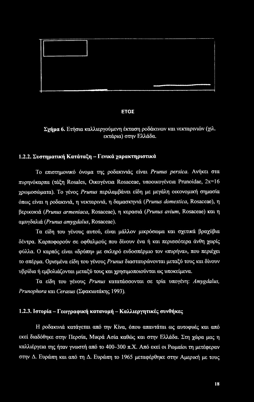 Ανήκει στα πυρηνόκαρπα (τάξη Rosales, Οικογένεια Rosaceae, υποοικογένεια Prunoidae, 2x=16 χρωμοσώματα).