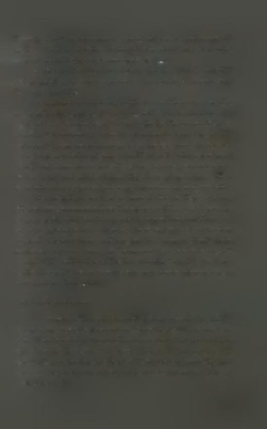 Ισπανούς αποίκους.