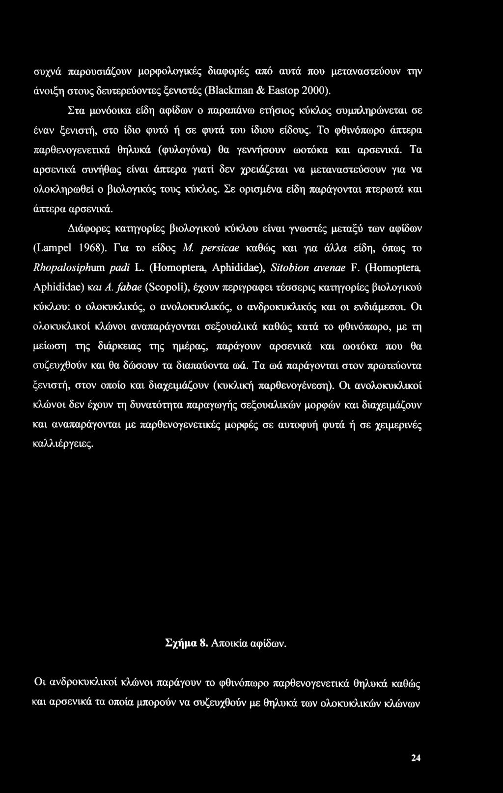Το φθινόπωρο άπτερα παρθενογενετικά θηλυκά (φυλογόνα) θα γεννήσουν ωοτόκα και αρσενικά.