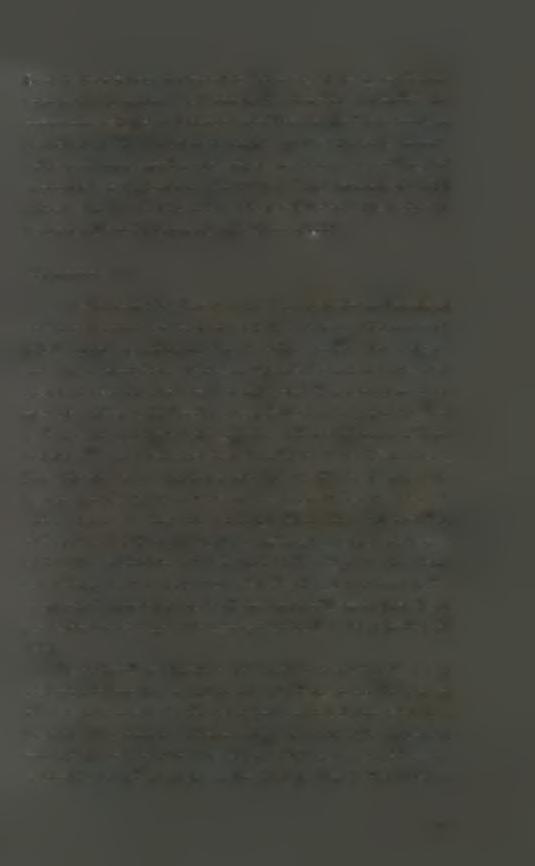 Coccinella septempunctata (L.), αρπακτικά Diptera της οικογένειας Syrphidae και παρασιτοειδή Hymenoptera των οικογενειών Braconidae, Chalcididae και Proctotrupidae.