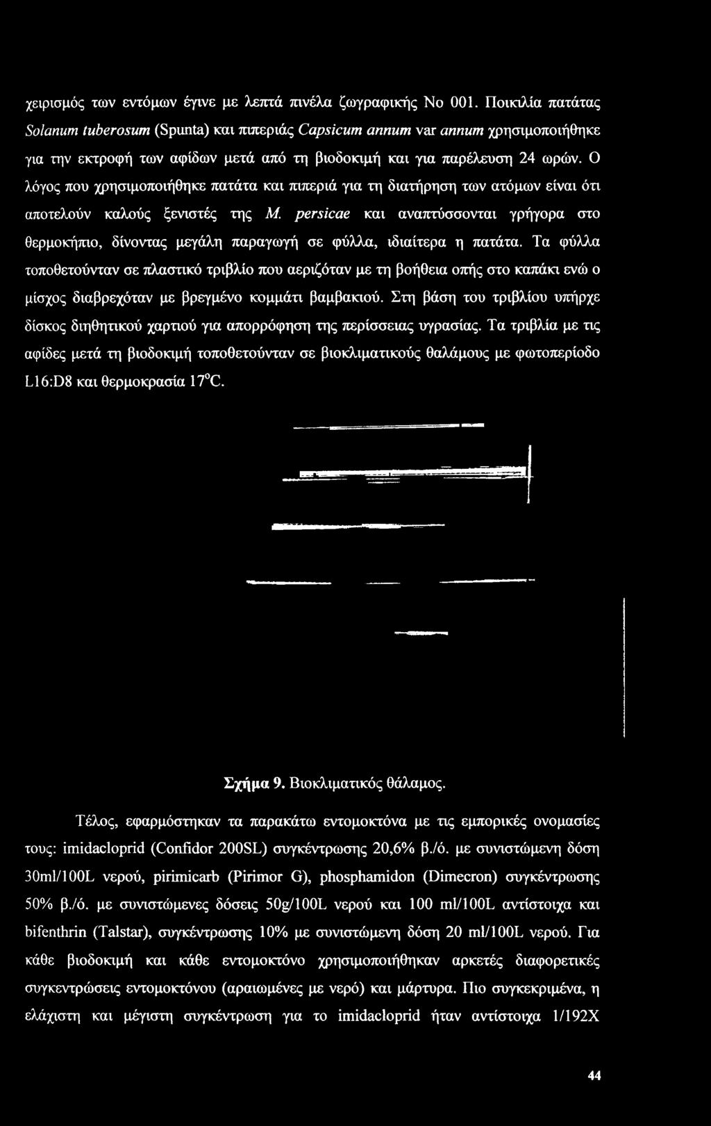 Τα φύλλα τοποθετούνταν σε πλαστικό τριβλίο που αεριζόταν με τη βοήθεια οπής στο καπάκι ενώ ο μίσχος διαβρεχόταν με βρεγμένο κομμάτι βαμβακιού.