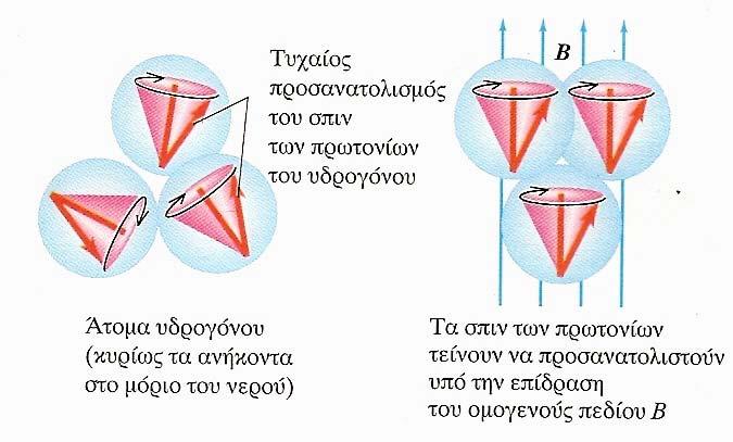 Σχήμα 4.18. Α. προσανατολισμός στροφορμής με εφαρμογή μαγνητικού πεδίου. Β.