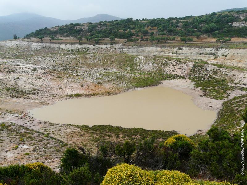 WWF Ελλάς.