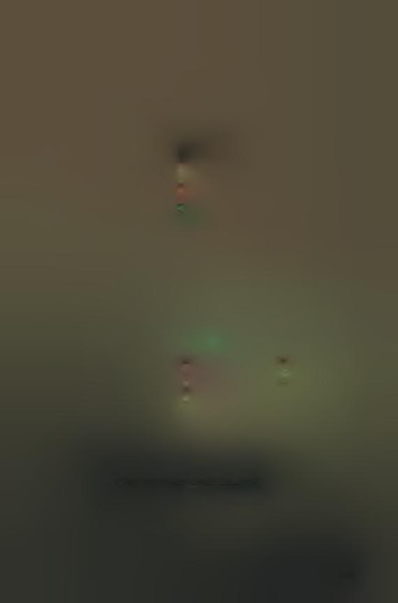 φύλλων