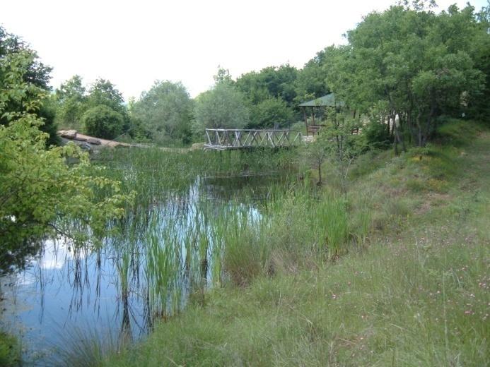 ξυλοπαραγωγική διαχείριση ή μηδενικές επεμβάσεις) και καταγράφονται οι άγριοι πληθυσμοί από σημαντικά φυτικά είδη (ελληνικά και βαλκανικά ενδημικά,