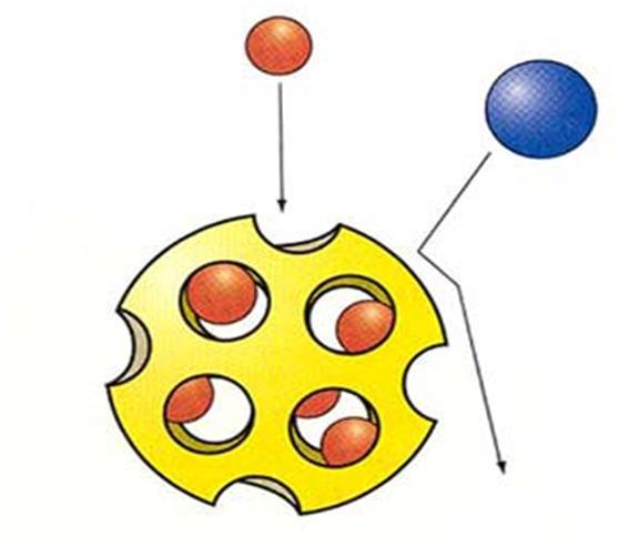 Порозната честичка е претставена со жолто. Големите волуминозни молекули (сино) не може да навлезат во порите, па престојуваат во релативно мал волумен надвор од порите.