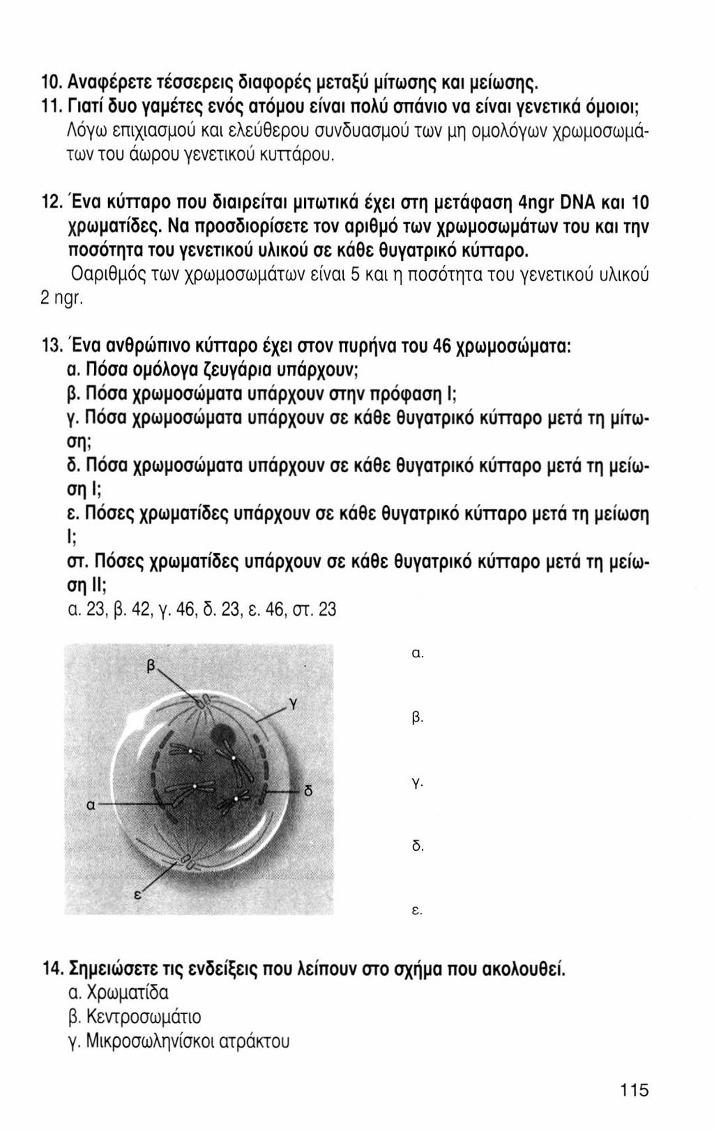 10. Αναφέρετε τέσσερεις διαφορές μεταξύ μίτωσης και μείωσης. 11.