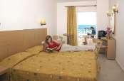 În imediata apropiere a hotelului sunt multe baruri, taverne, supermarketuri şi magazine. La numai 500 m distanţă de hotel se afla o statia de autobuz.
