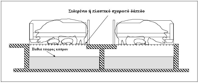 Σχ.6 : Κλωβοί θηλαζόντων χοιροµητέρων µε σχαρωτό δάπεδο και βαθιά τάφρο αποθήκευσης. (Ιταλία, 2001) Σχ.7 : Θάλαµος τοκετού - γα