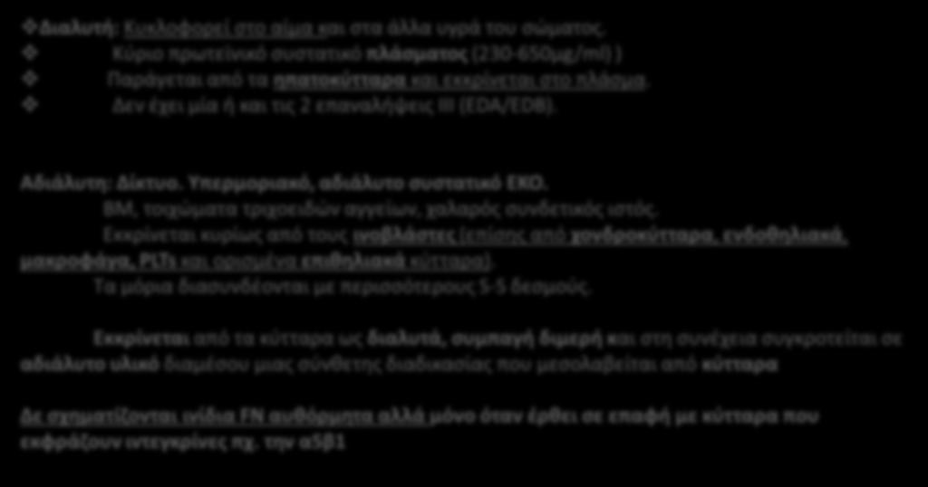 Υπερμοριακό, αδιάλυτο συστατικό ΕΚΟ. ΒΜ, τοιχώματα τριχοειδών αγγείων, χαλαρός συνδετικός ιστός.