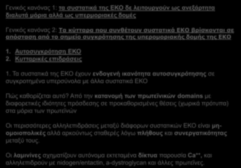 ΥΠΕΡΜΟΡΙΑΚΗ ΟΡΓΑΝΩΣΗ ΕΞΩΚΥΤΤΑΡΙΑΣ ΟΥΣΙΑΣ Γενικός κανόνας 1: τα συστατικά της ΕΚΟ δε λειτουργούν ως ανεξάρτητα διαλυτά μόρια αλλά ως υπερμοριακές δομές Γενικός κανόνας 2: Τα κύτταρα που συνθέτουν