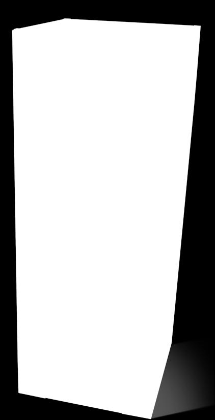 mondial în