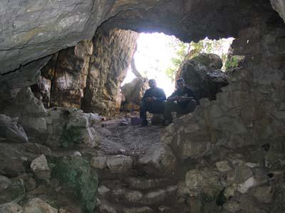 Αντωνίου με κωδ. 8404-006.