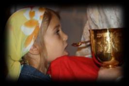In addition, if you would like KOLYVA we ask that you contact Katina Kollias 727-849-0544 or 1-352-277-6545